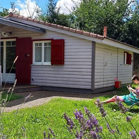 Onlycamp L'argente *