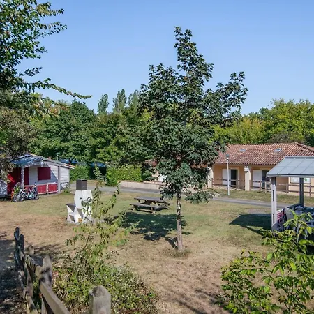 Onlycamp L'argente Кондом